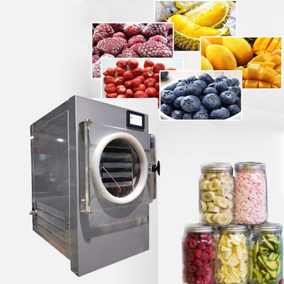 China Vácuo Mini Freeze Dryer For Home fornecedor